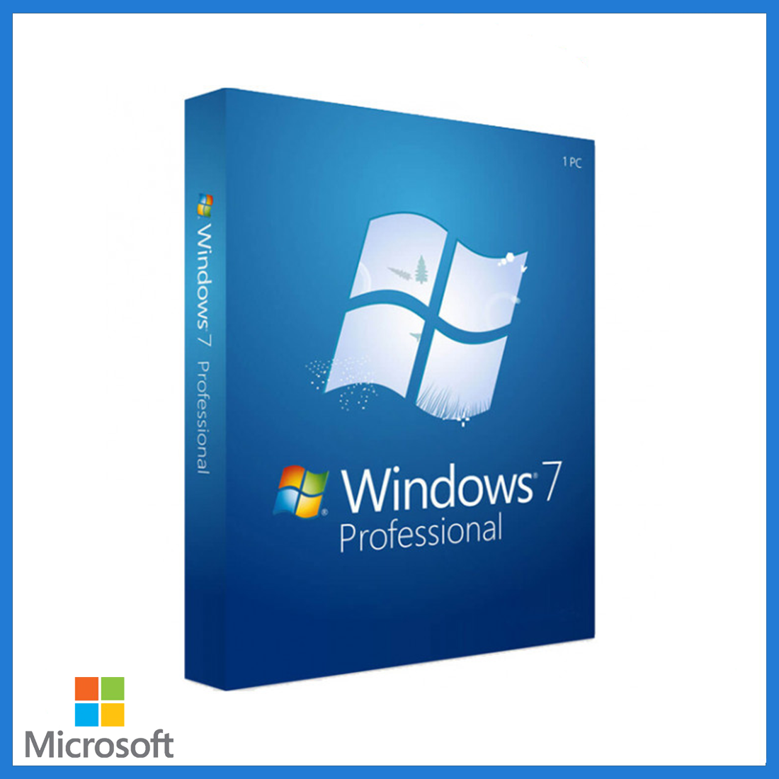 Windows 7 Professional